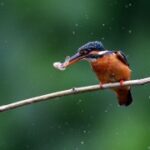 赏金大对决中的英雄角色与他们的故事 10oz98hp