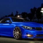 赏金女王的社交技巧:建立人脉的重要性 2k8dr