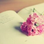 赏金女王的职业规划:如何制定长远目标 ef844ksa