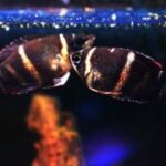 赏金女王的财富管理:理财与投资的智慧 knfeo9