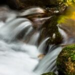 赏金女王的故事:她们如何改变行业规则 z4al0